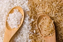 جوانه برنج
